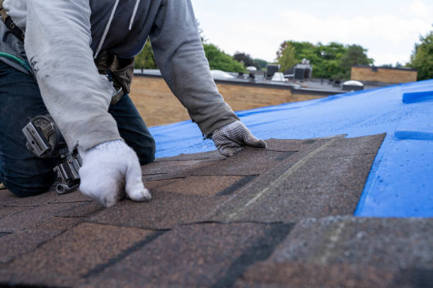 Quick and Trustworthy Emergency Roof Repair Services in New Orleans, LA
